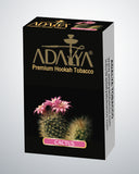 Adalya Cactus
